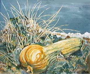 cucumber