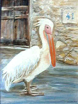 pelikan